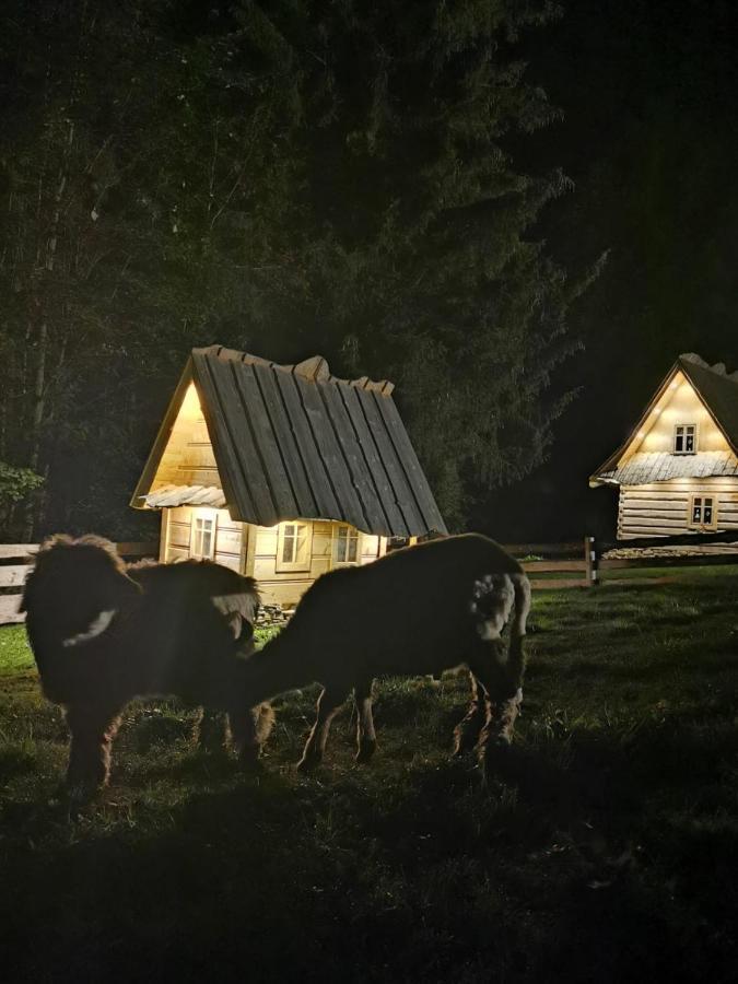 Zagroda Krowiarki Хохолув Экстерьер фото